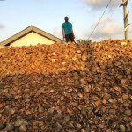 Amin with a pile of coconut husks at his home