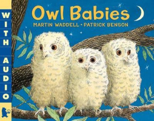 owl babies