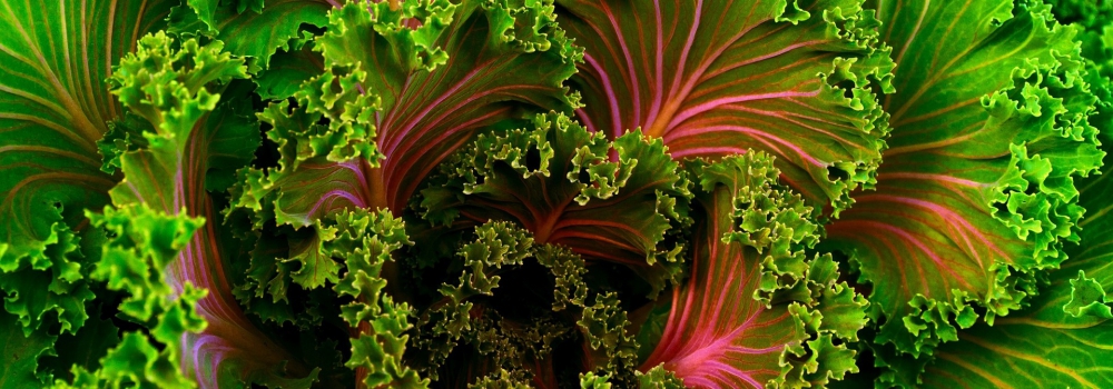 The 6 biggest health trends right now