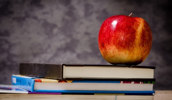 Why teachers love teaching