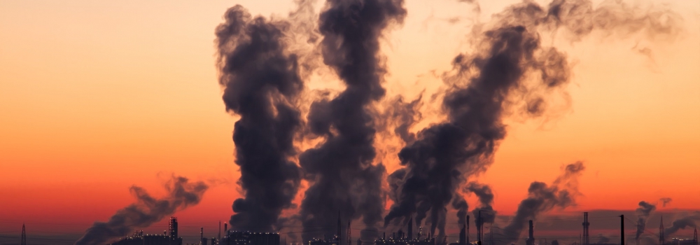 How can we deal with rising levels of air pollution?