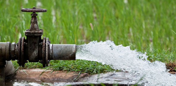 The Role of Commercial Agriculture in Tackling Water Scarcity