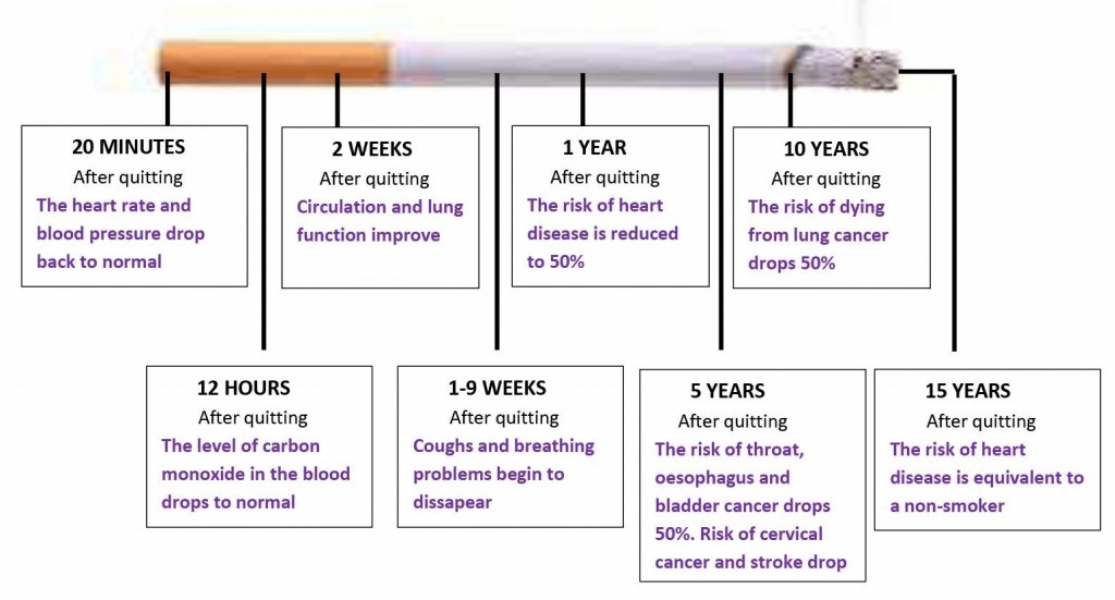 quit-timeline_0001-2