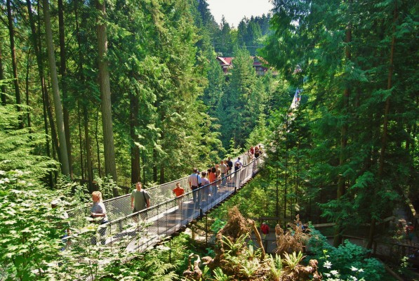 Visit Capilano Suspension Bridge-Vancouver