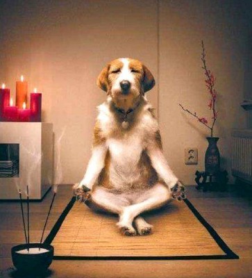 meditation