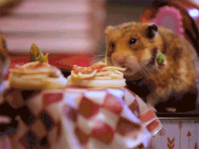 hamsters-pasta-for-two