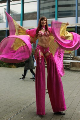 pink-lady-stilts