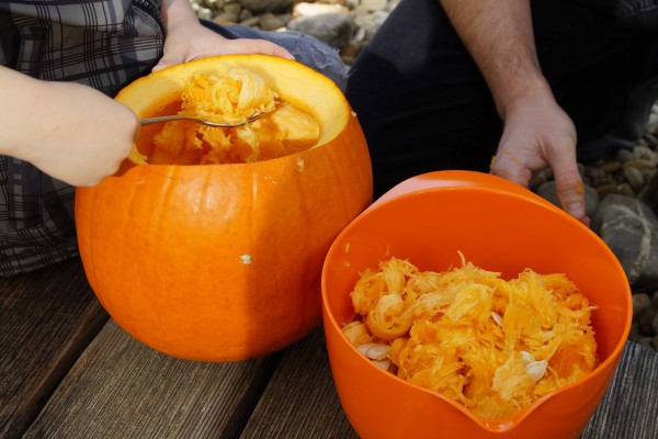 scoop-out-pumpkin