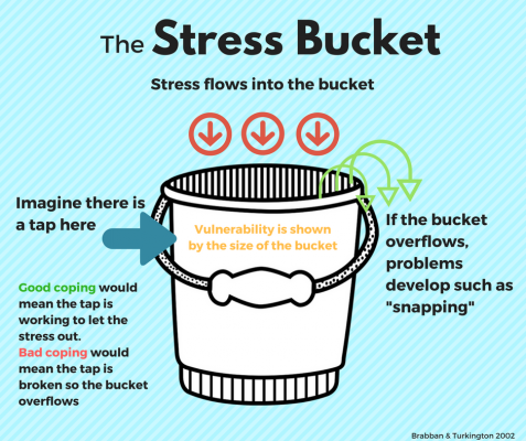 brabban-turkington-stress-diagram