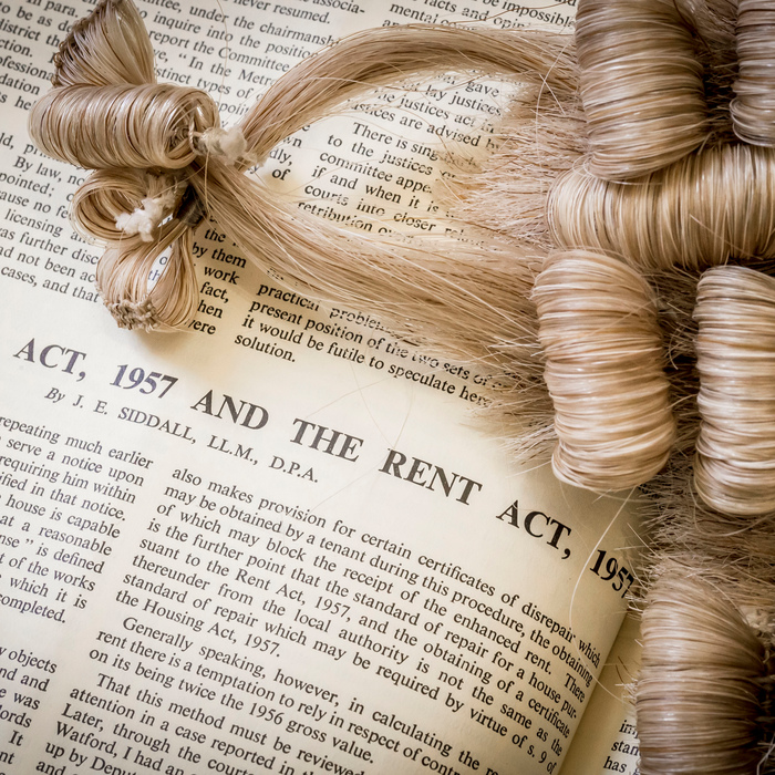 book-and-wig