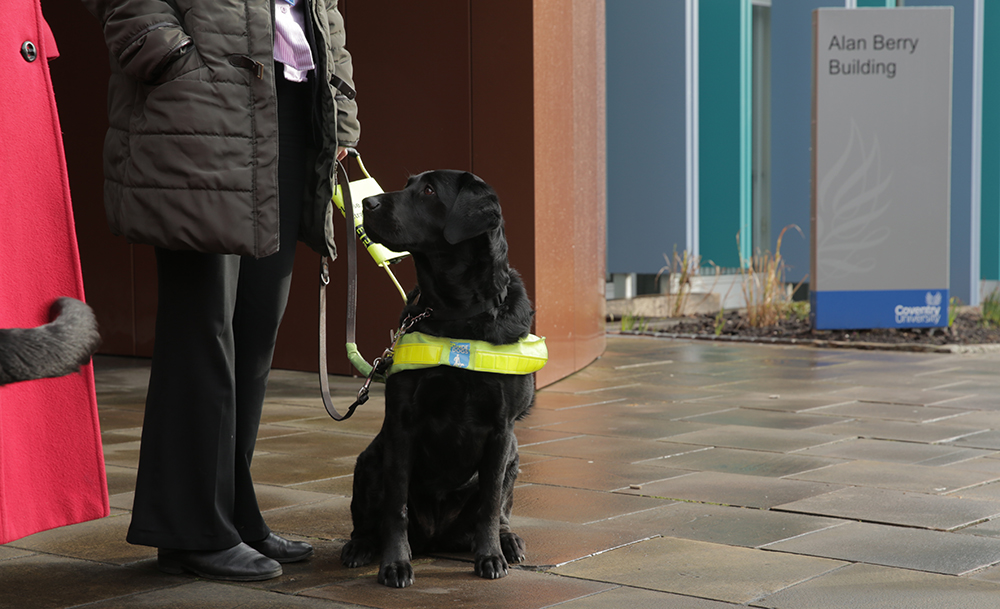 coventry-guide-dog