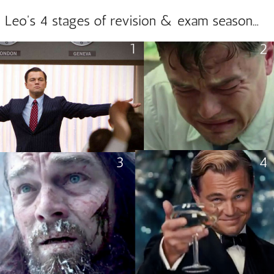 Leo's 4 stages