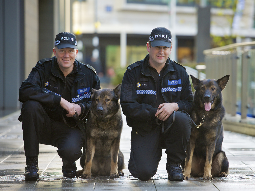 animals-in-the-police-industry-discuss-blog