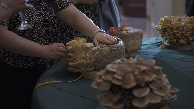 Image of someone taking part in Lisa Frankiln's mushroom workshop
