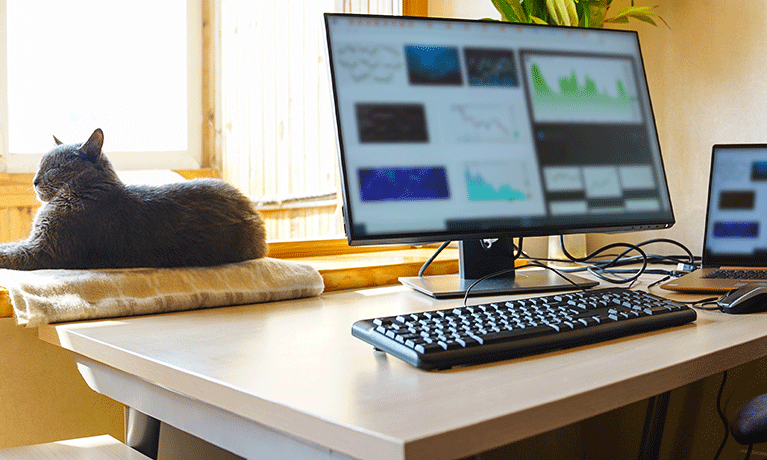 Working from home office set-up with a cat on the windowsill