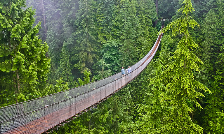 People walking across a bridge surrounded by trees