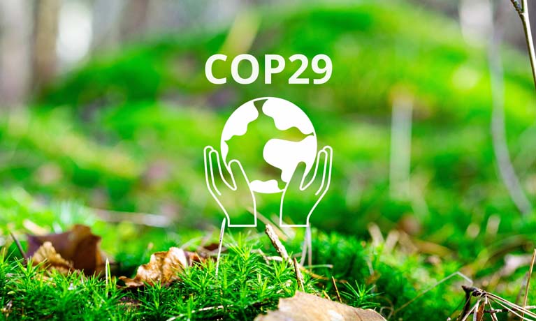 COP 29