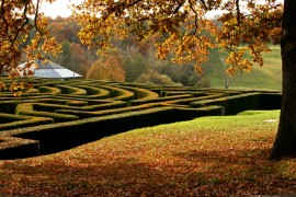 Maze in autumn