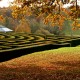 Maze in autumn