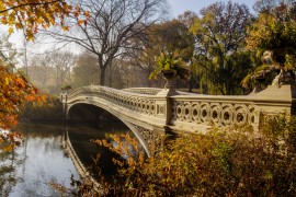 A bridge in Autumn