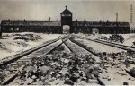 Holocaust Memorial Day – 27th January